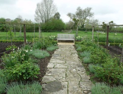 Planning a Perfect Potager for Edmonton