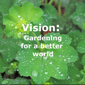 Vision EHS Vision superimposed on lady's mantle