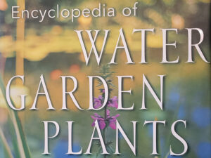 cropped version of the cover of Encyclopedia of Water Garden Plants