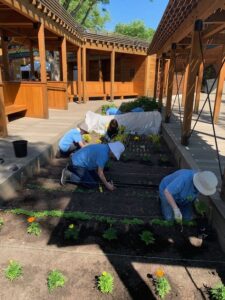ZooUrbanFarmVolunteersWorking