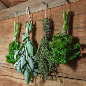 herbs hanging to dry