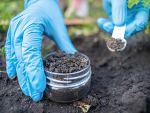 Gloved hands with a jar and a measuring spoon collecting soil for testing