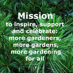 Mission on pine EHS Mission, superimposed on a photo of pine needles