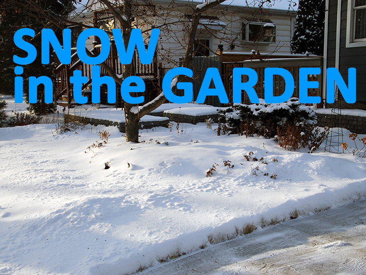 A picture of a snowy yard with "Snow in the garden" on it.